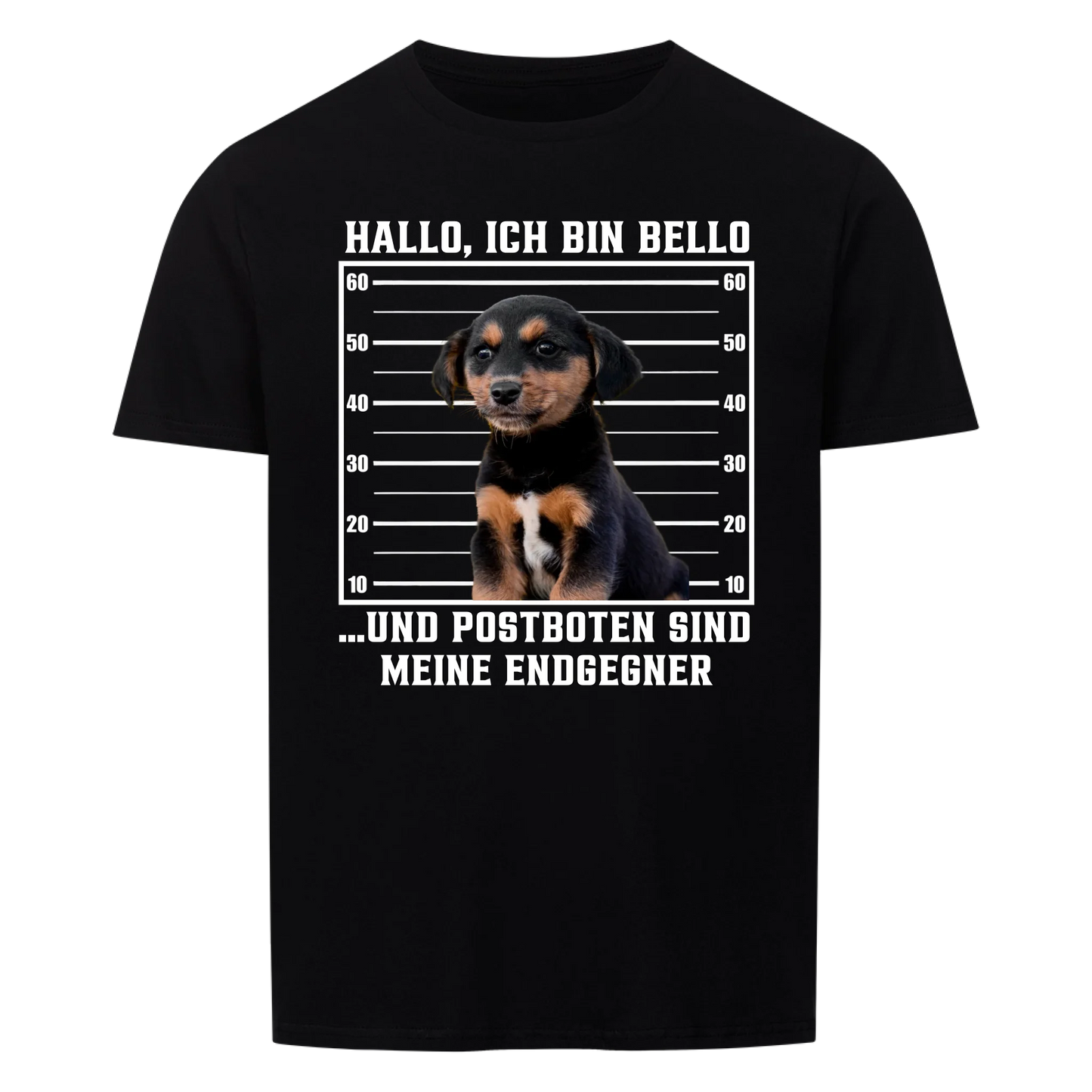 Anonyme Postbotenjäger