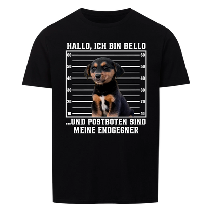 Anonyme Postbotenjäger