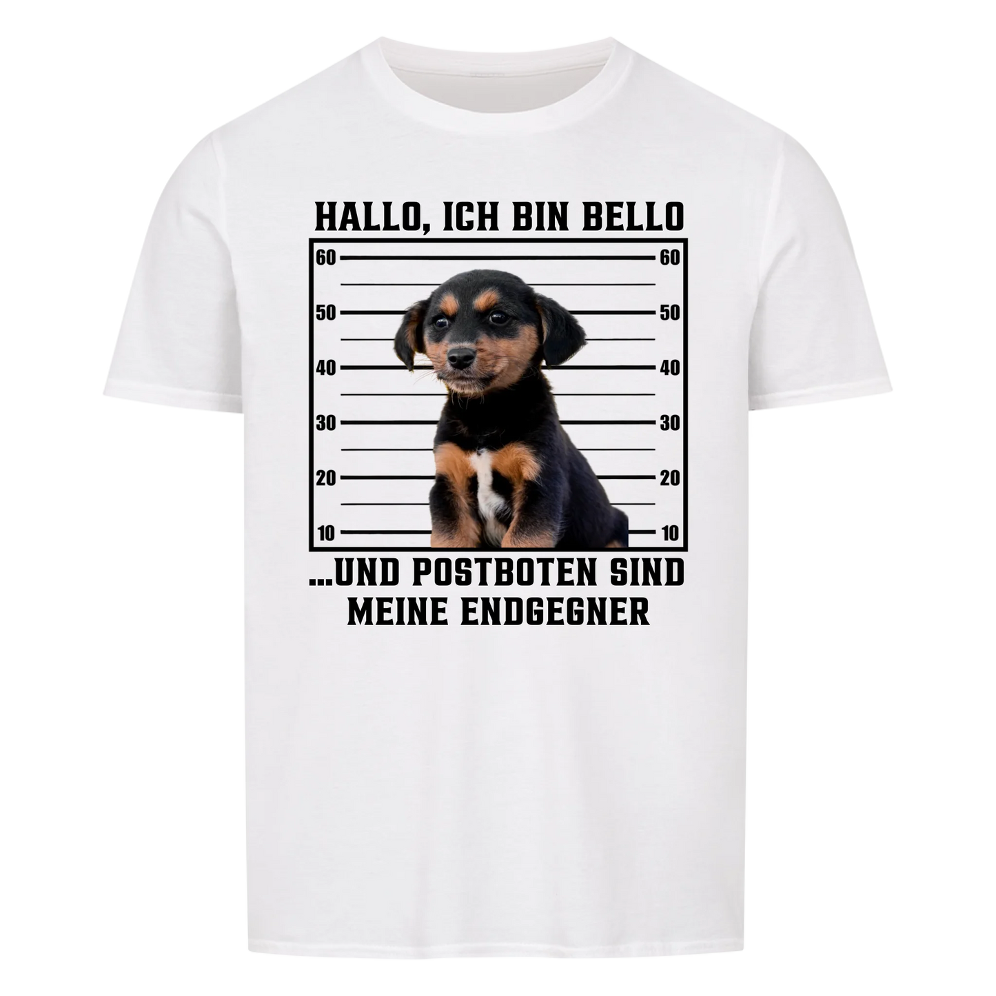 Anonyme Postbotenjäger