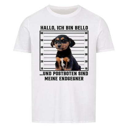Anonyme Postbotenjäger