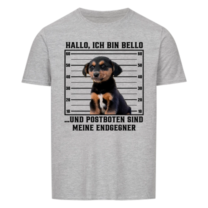 Anonyme Postbotenjäger