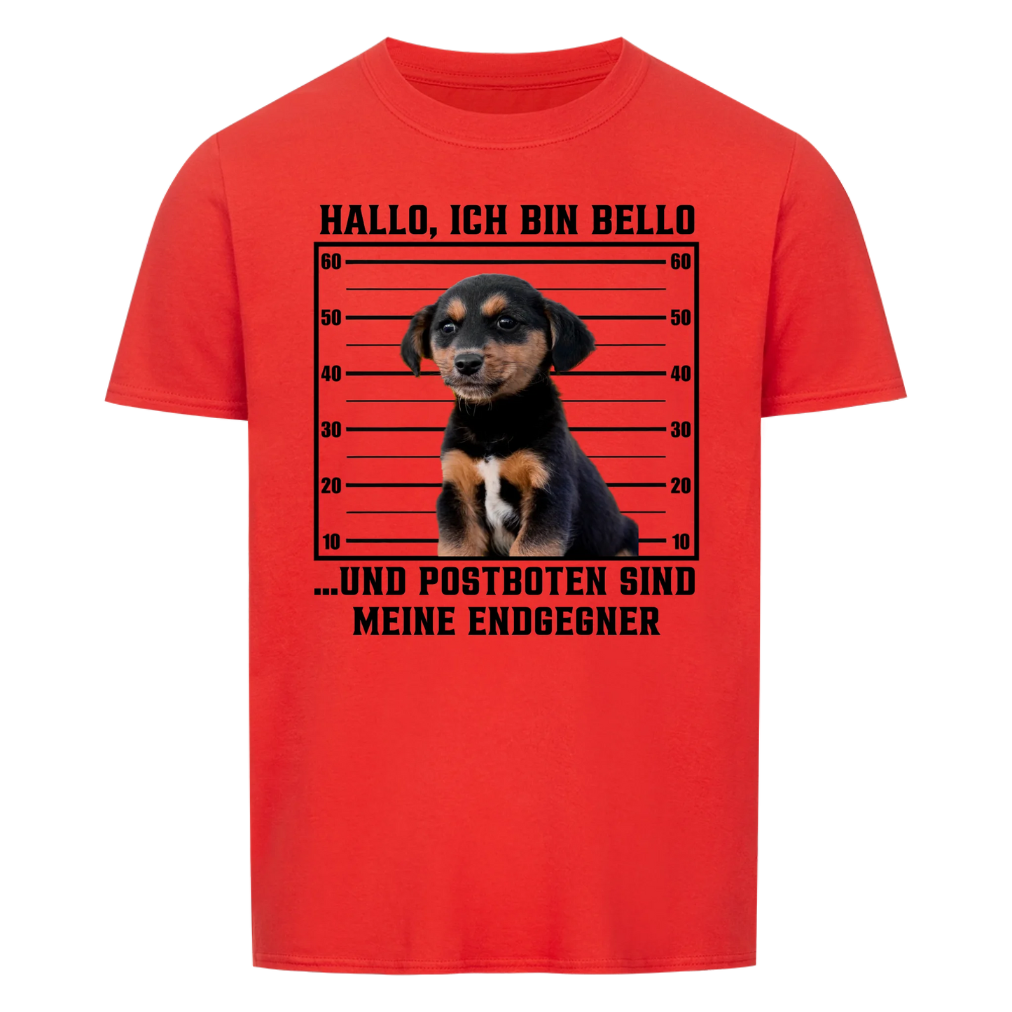 Anonyme Postbotenjäger