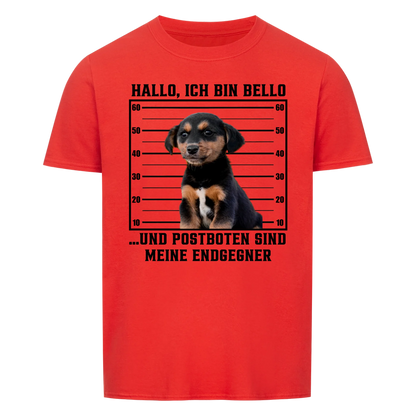 Anonyme Postbotenjäger