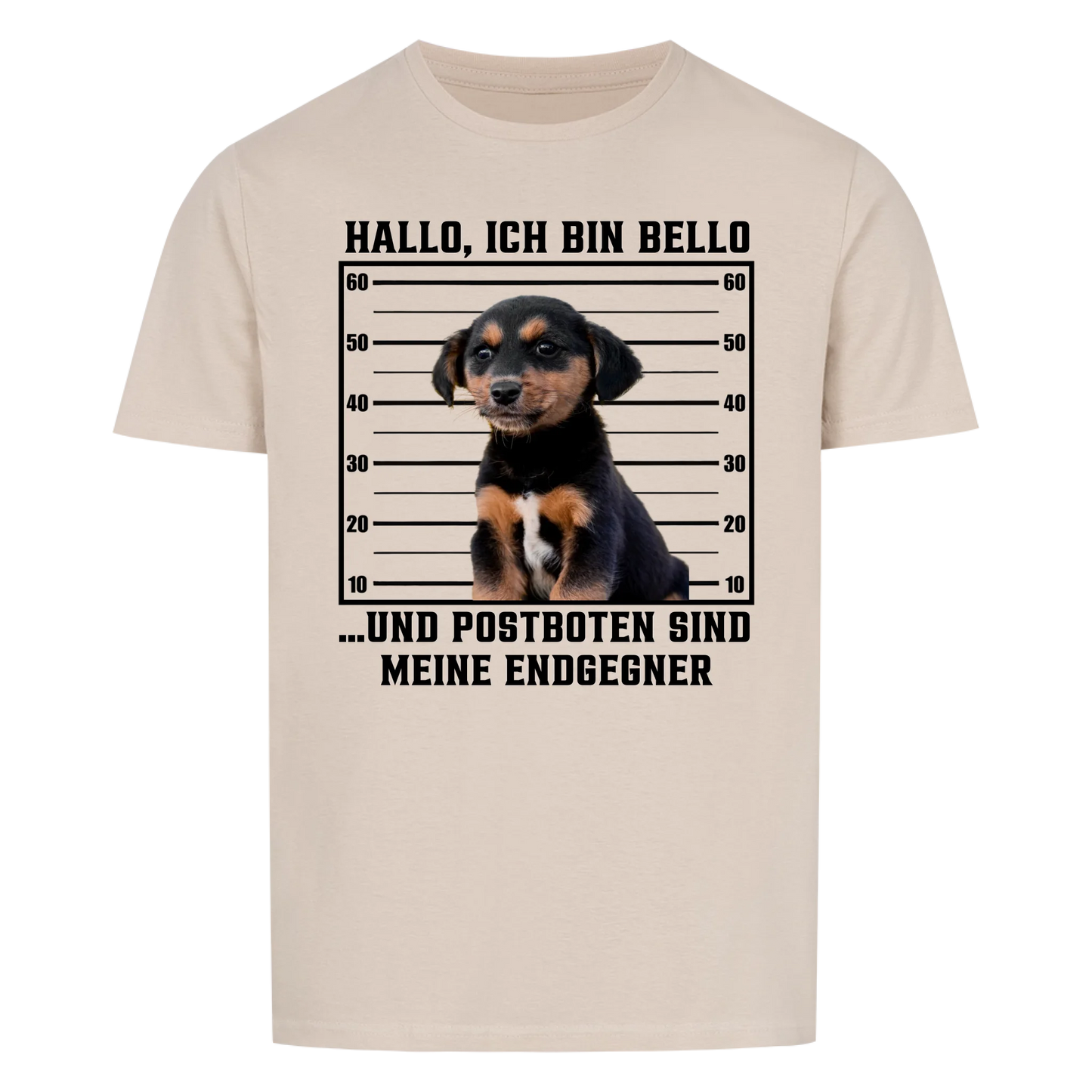 Anonyme Postbotenjäger
