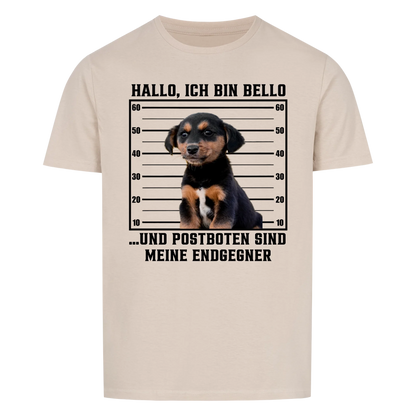 Anonyme Postbotenjäger