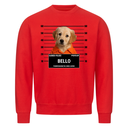 Criminali a quattro zampe