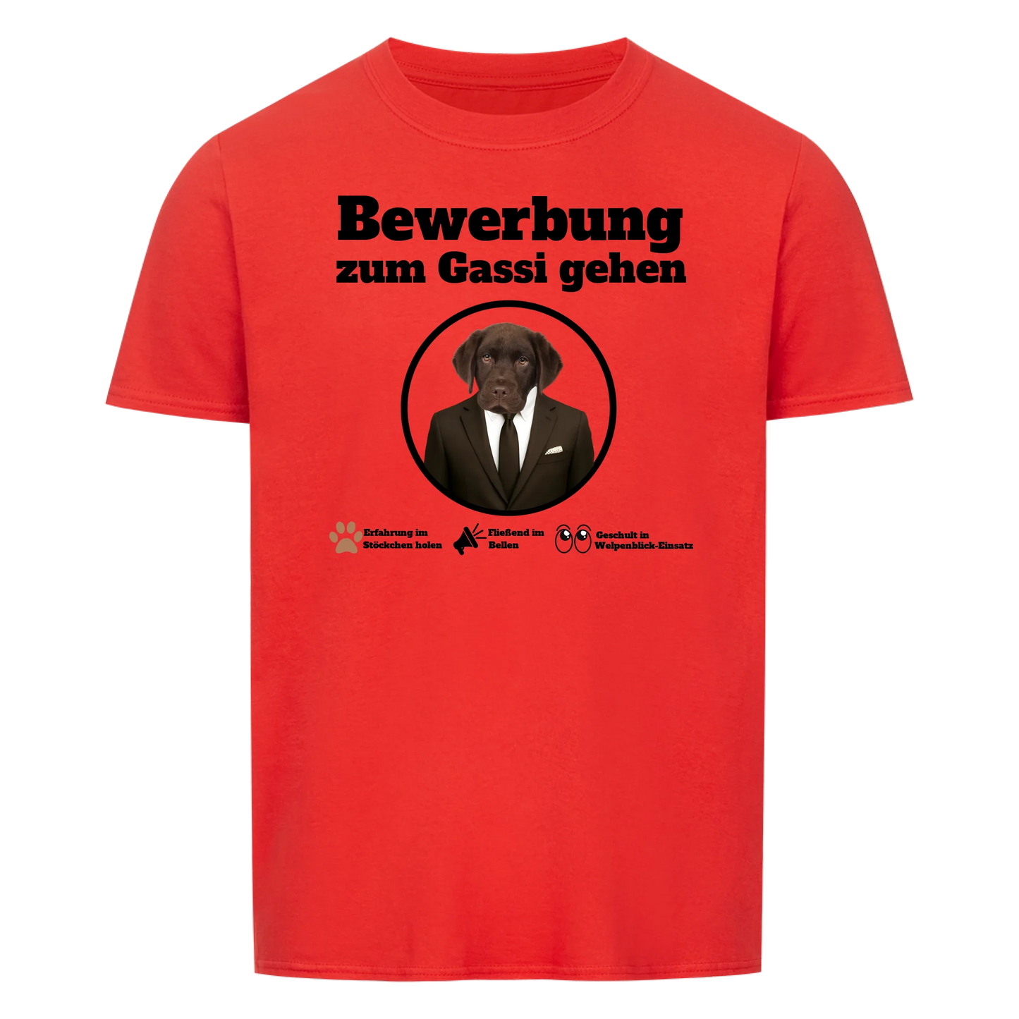 Bewerbung zum Gassi gehen