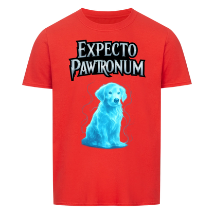 Expecto Pawtronum