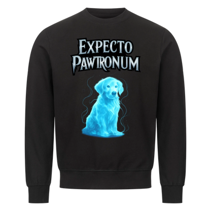 Expecto Pawtronum