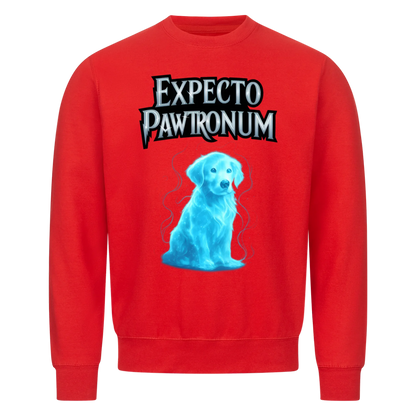 Expecto Pawtronum