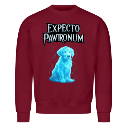 Expecto Pawtronum