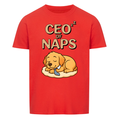 CEO of Naps