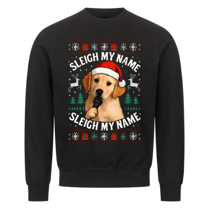 Sleigh my Name
