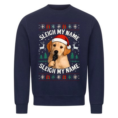 Sleigh my Name
