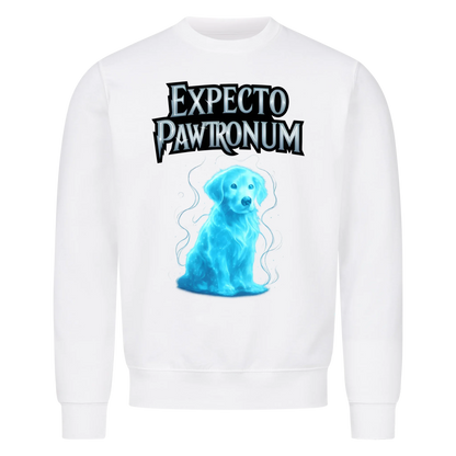 Expecto Pawtronum - collection