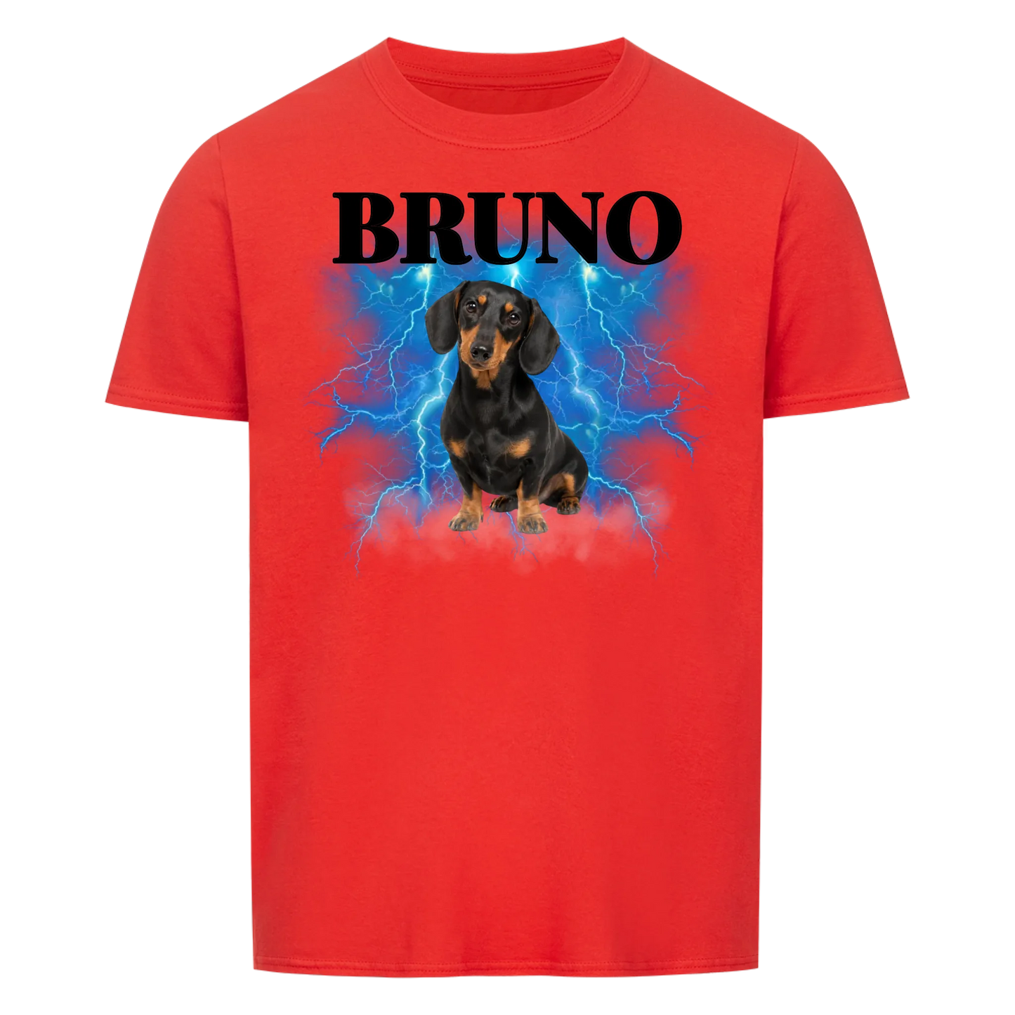 Personalisiertes Haustier T-Shirt "Vintage" 90er Style